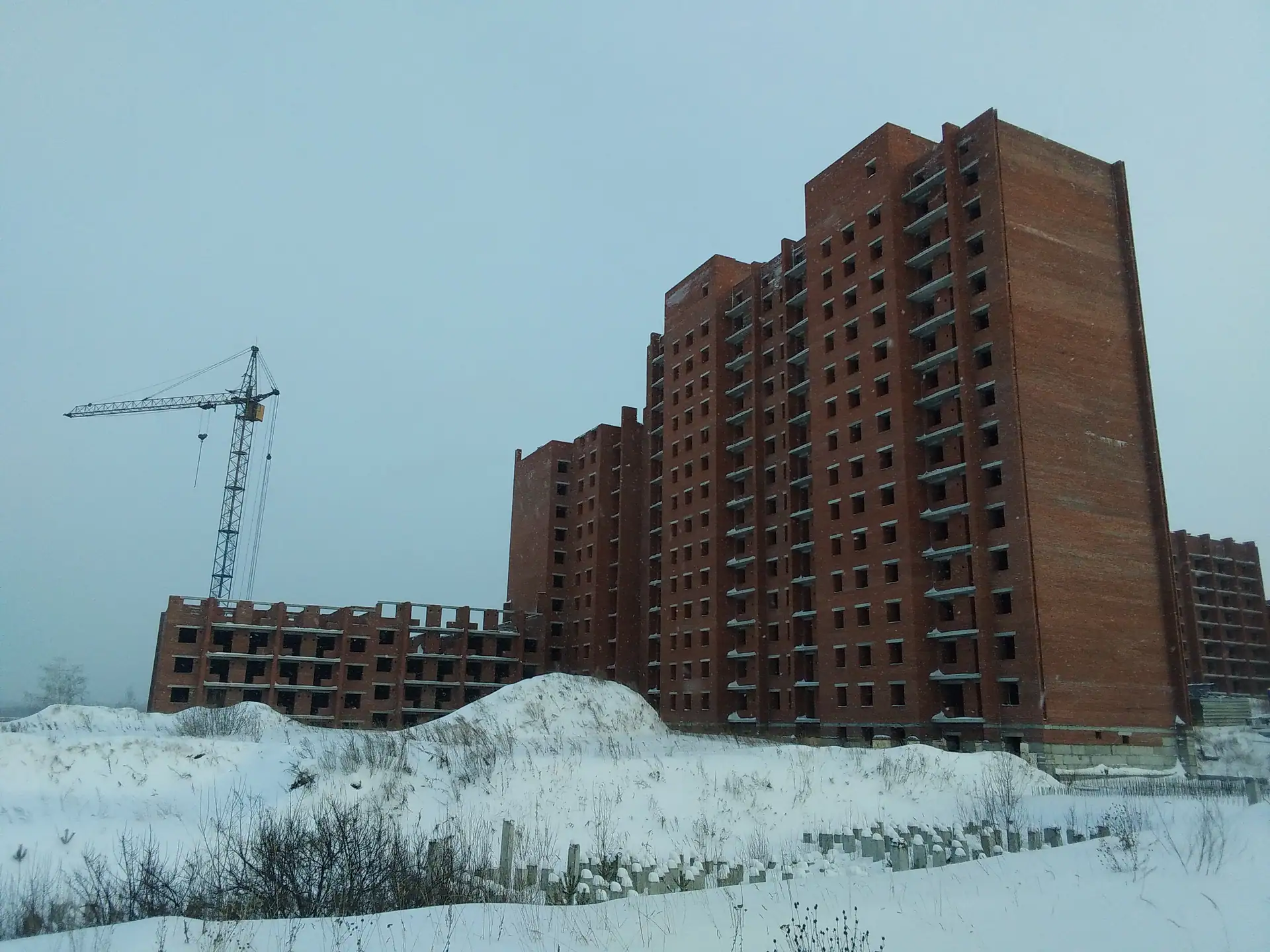 январь, 2023