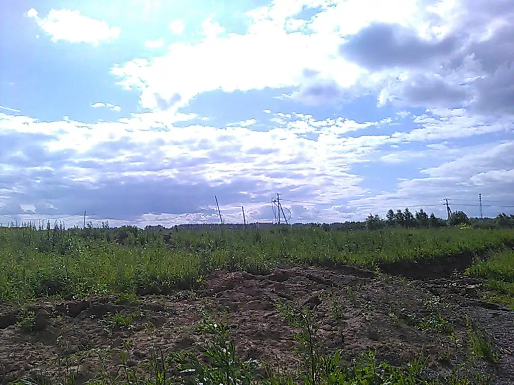 июль, 2019