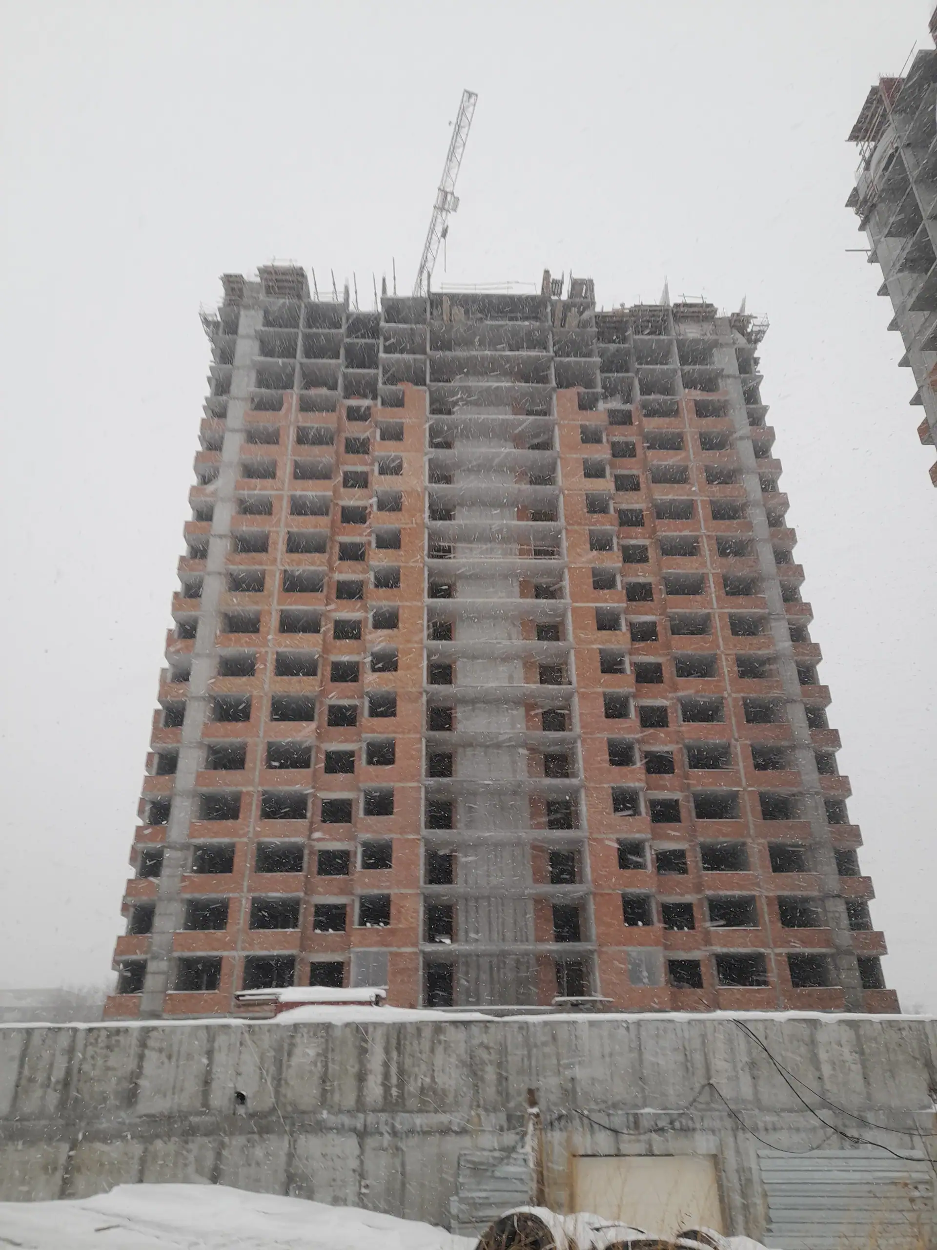 январь, 2023
