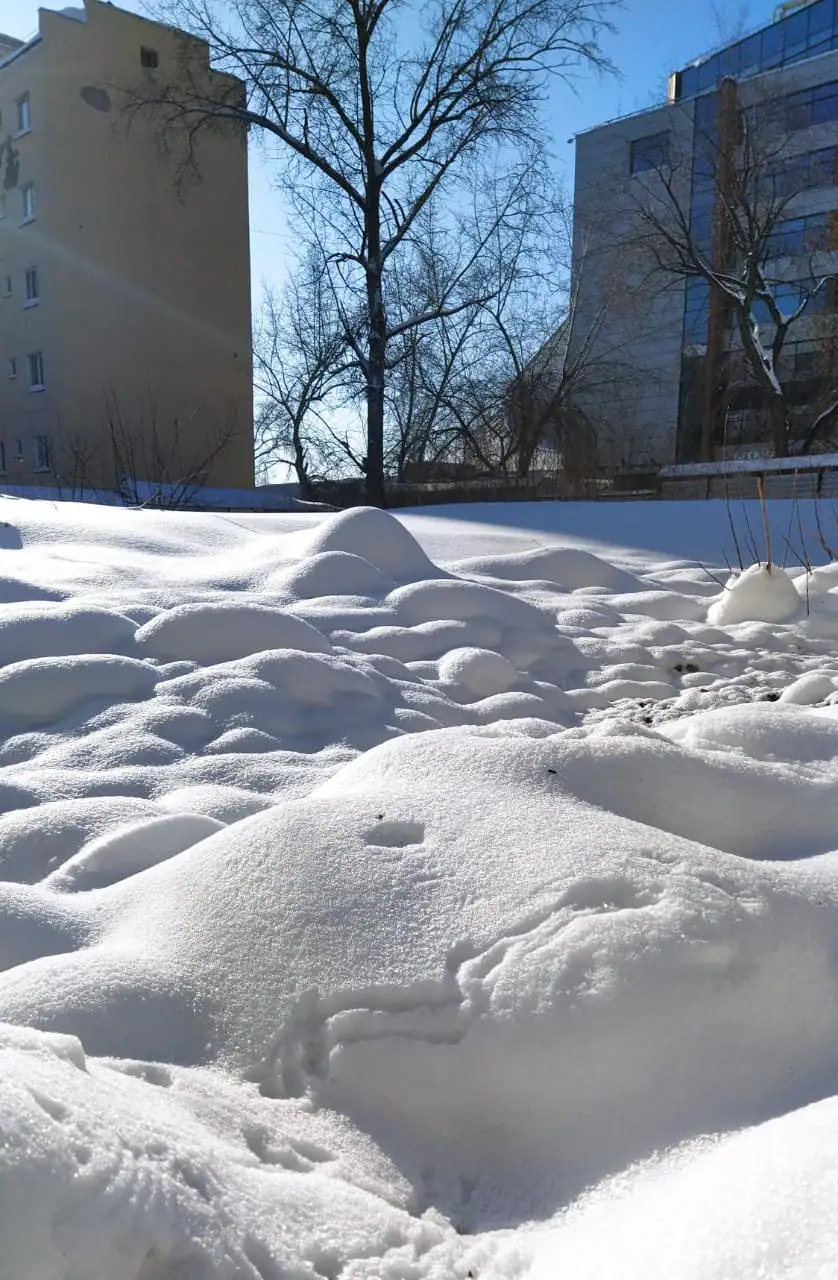 февраль, 2021