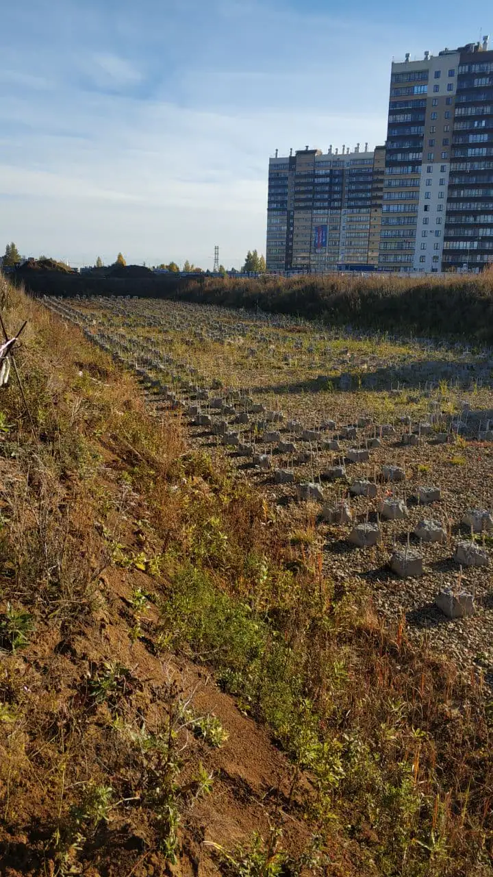 октябрь, 2021