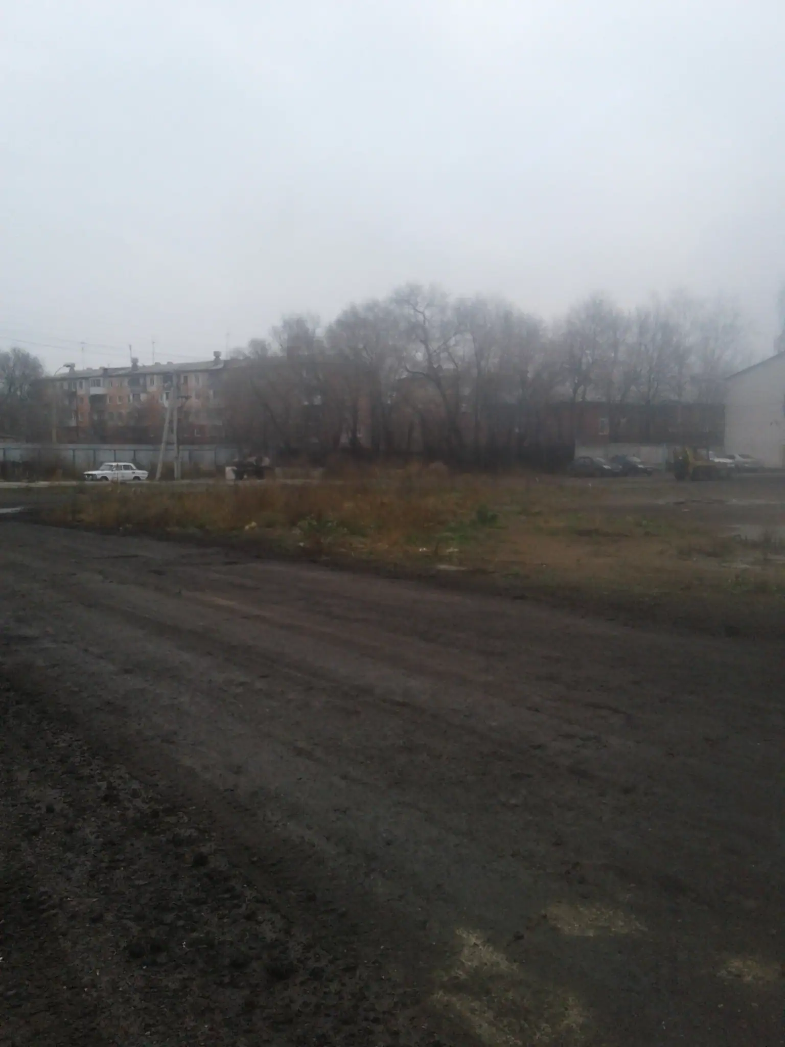 11 2019 г.