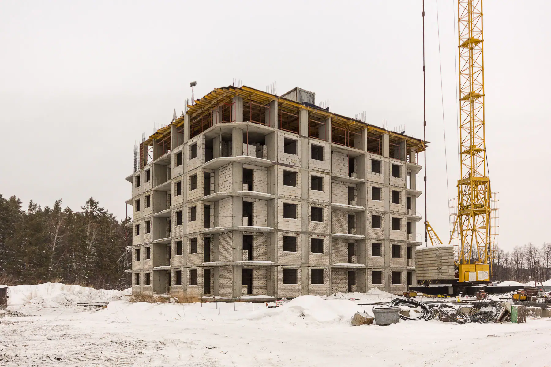 январь, 2019