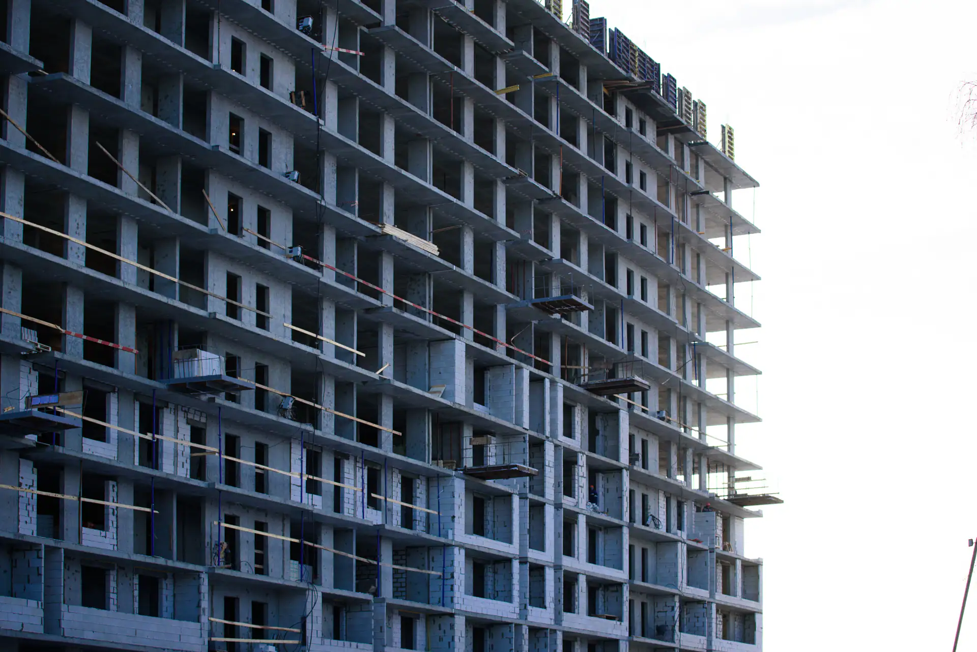 январь, 2019