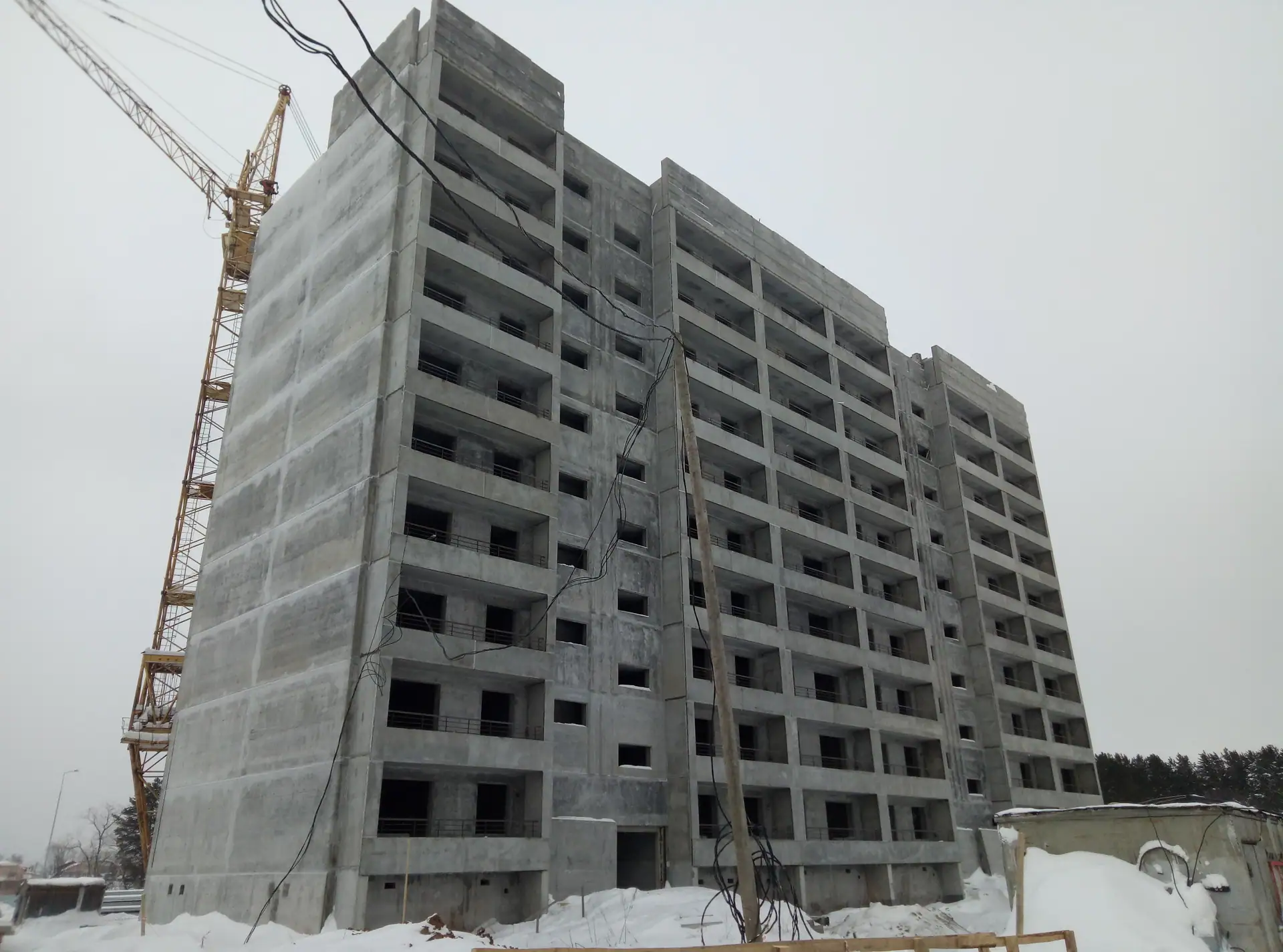 январь, 2019