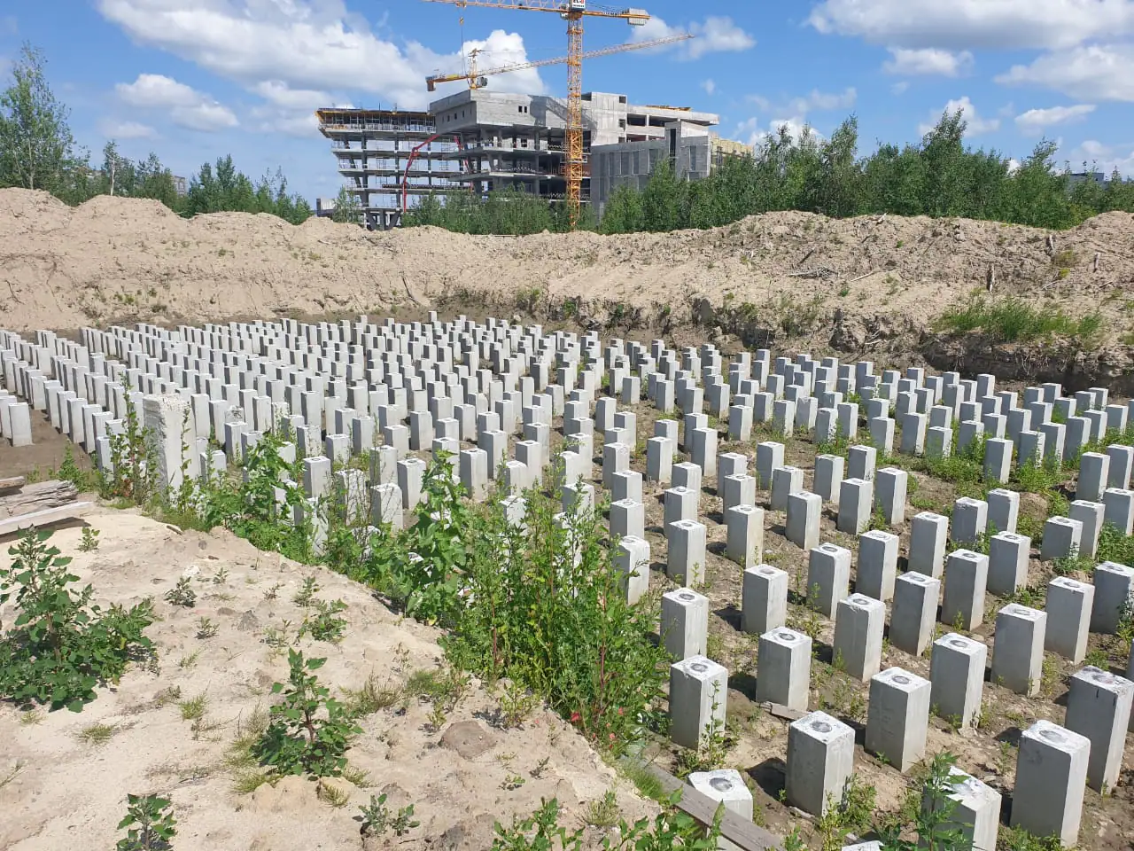 июль, 2022