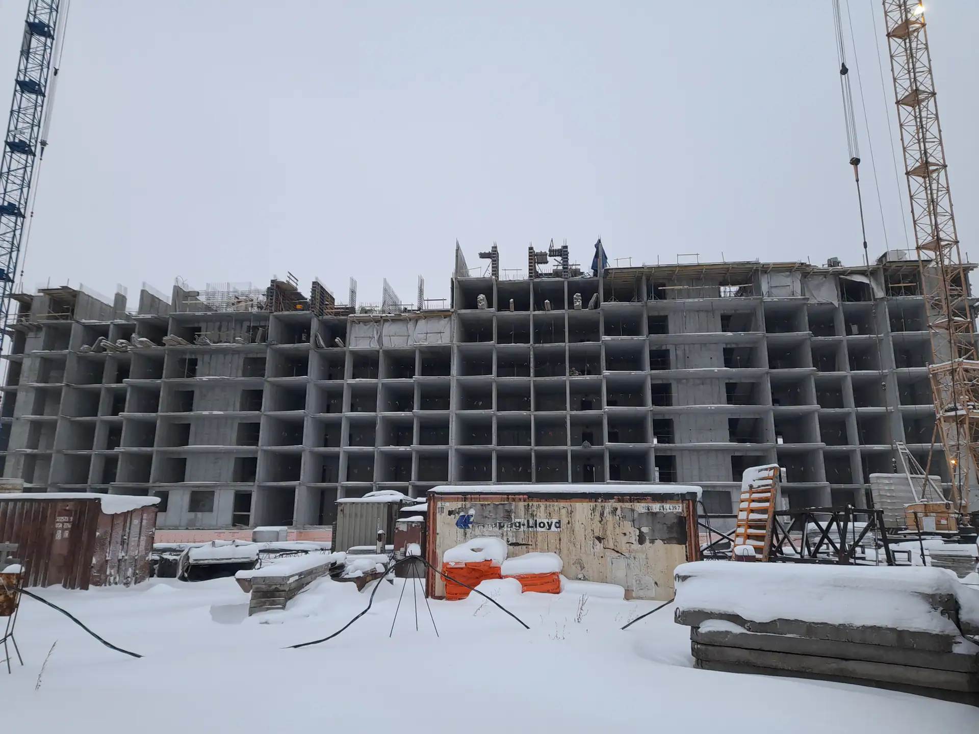 январь, 2023