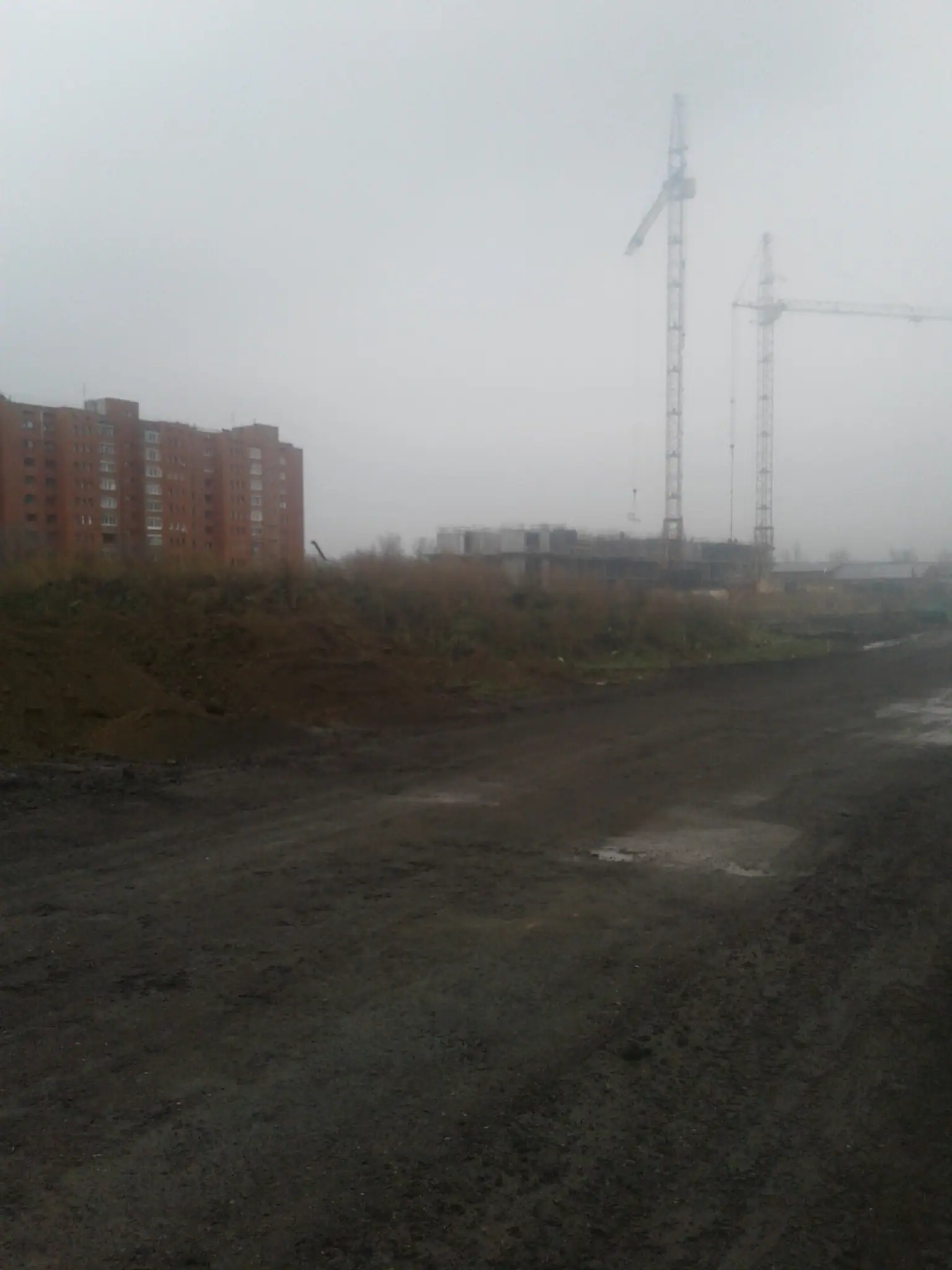 ноябрь, 2019