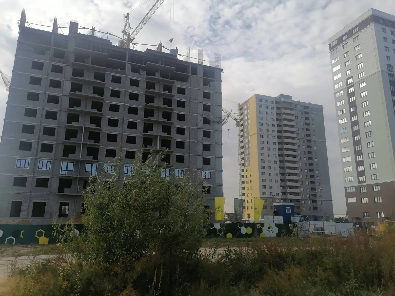 сентябрь, 2021