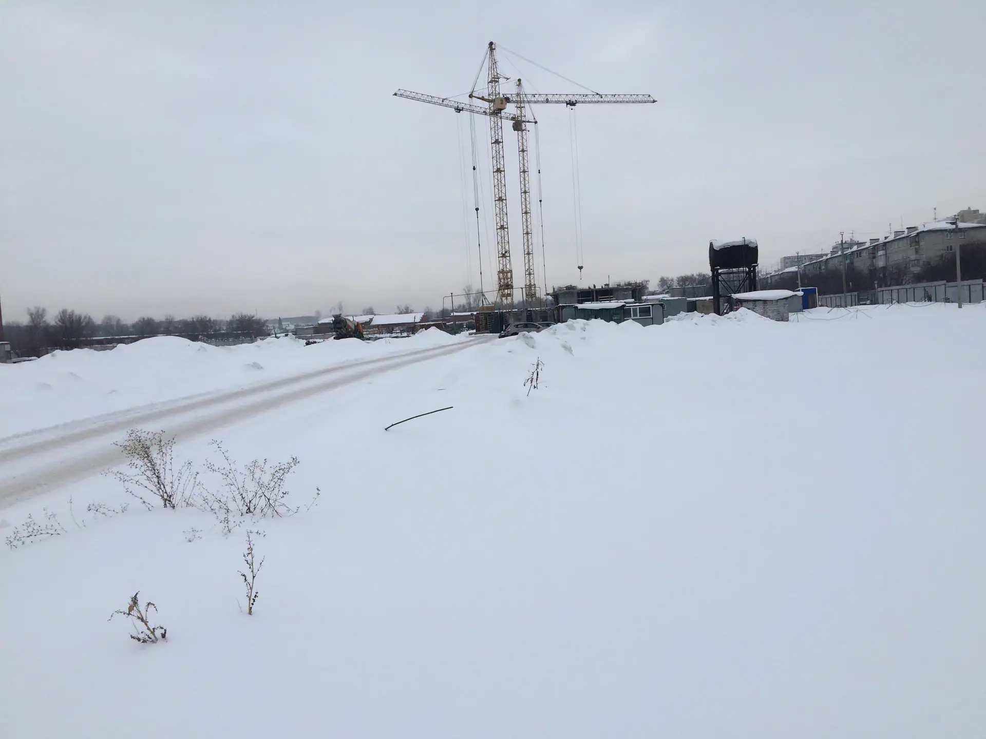 февраль, 2019