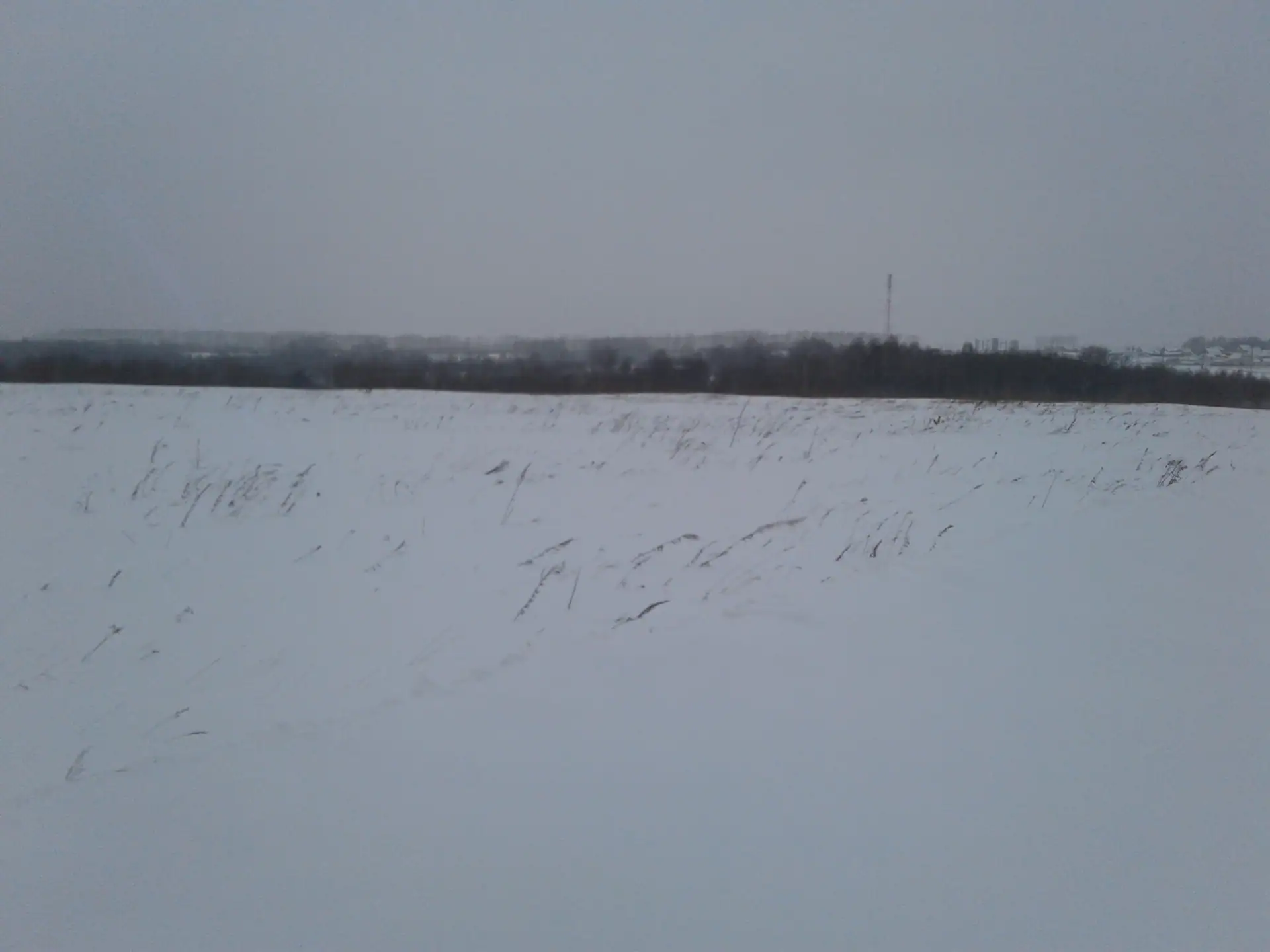 11 2018 г.