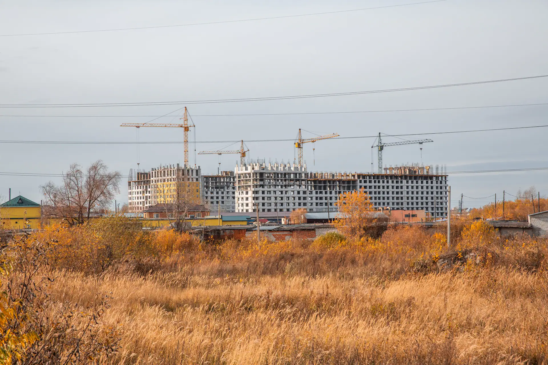 сентябрь, 2019