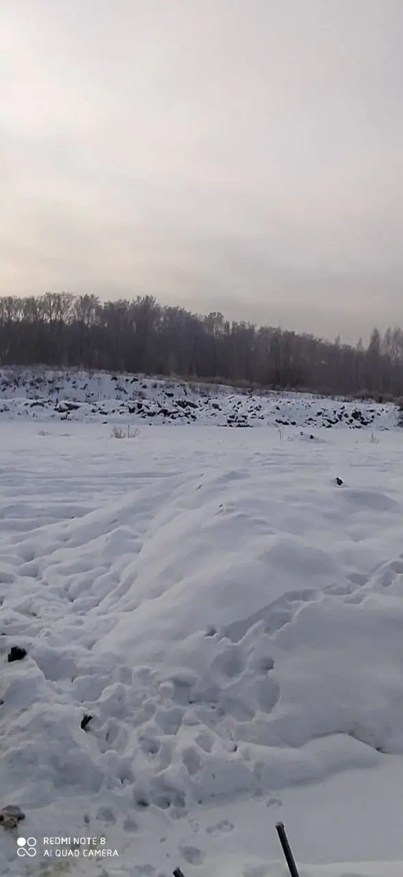 11 2020 г.