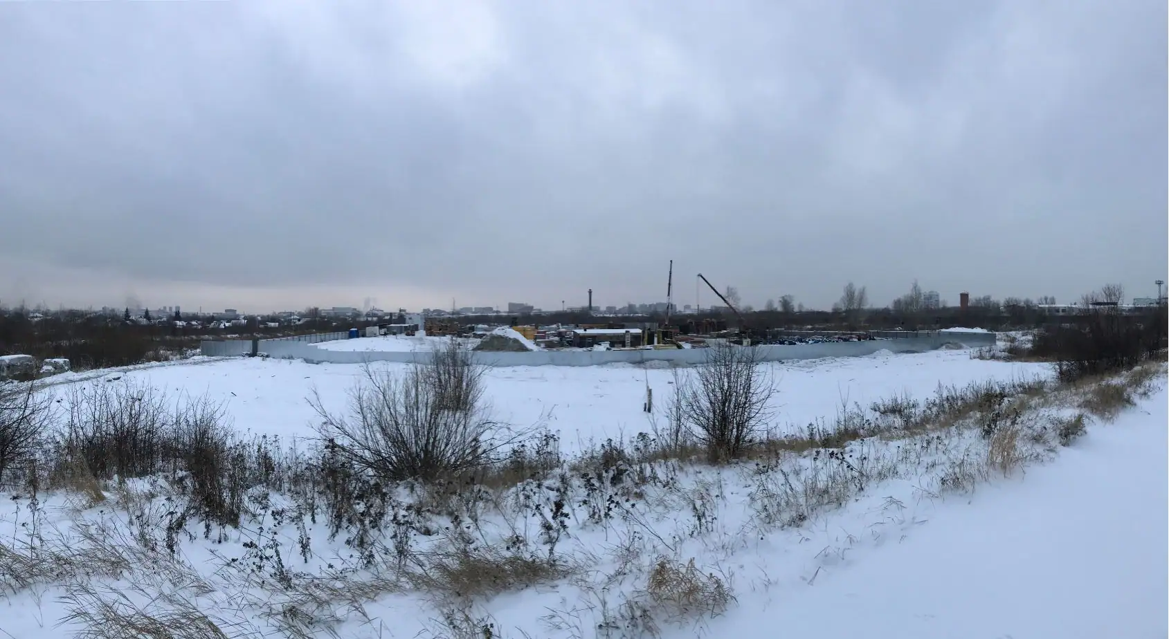 февраль, 2019