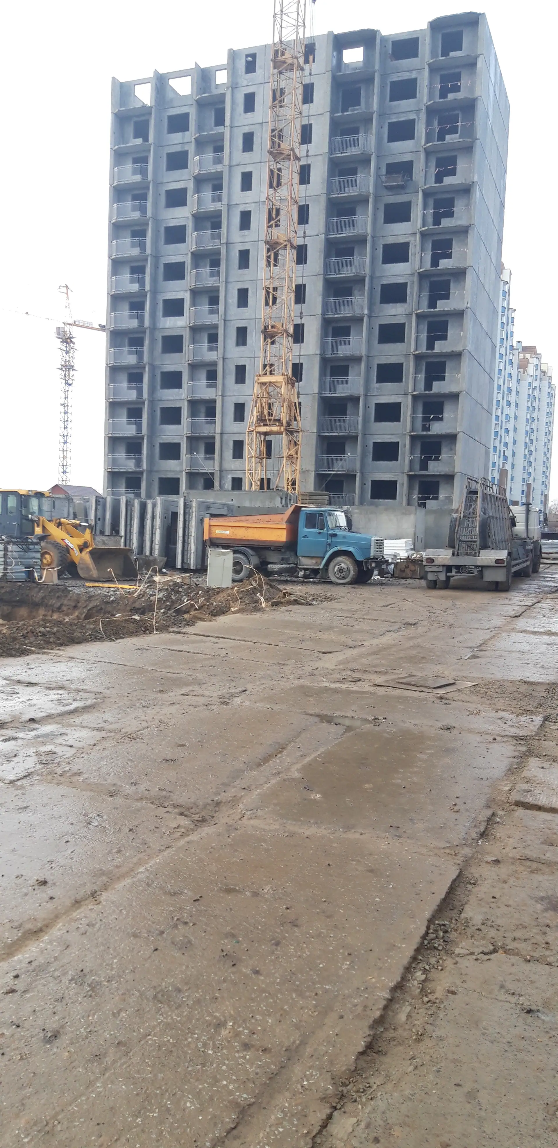 ноябрь, 2019