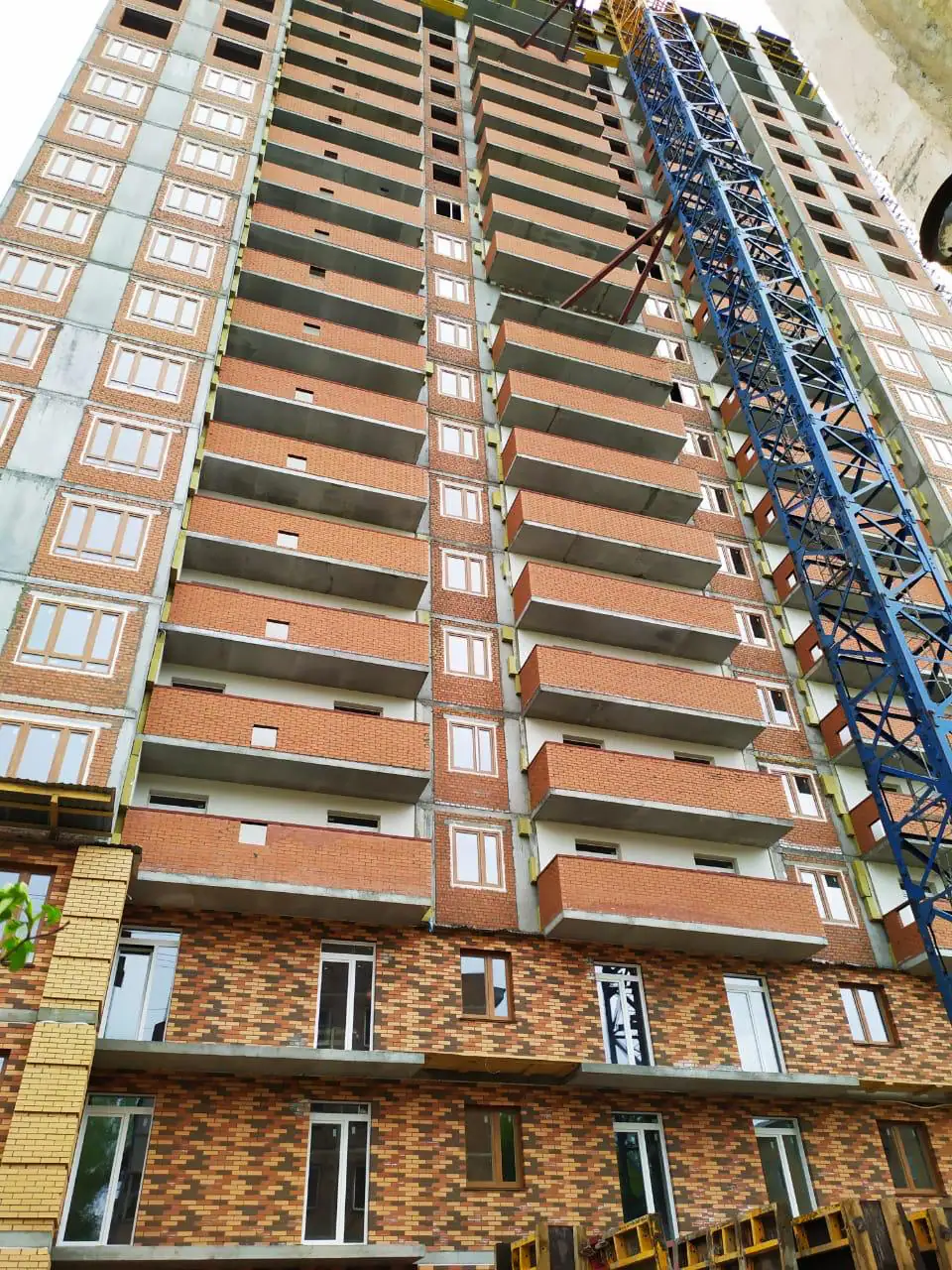 май, 2019