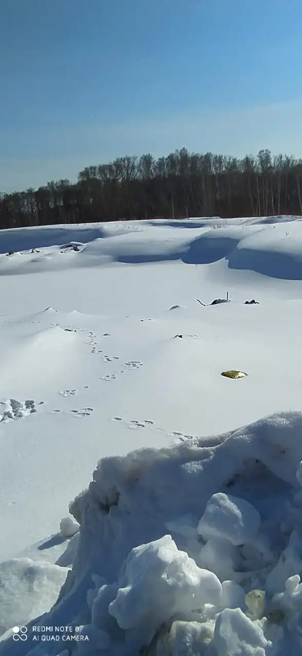 03 2021 г.