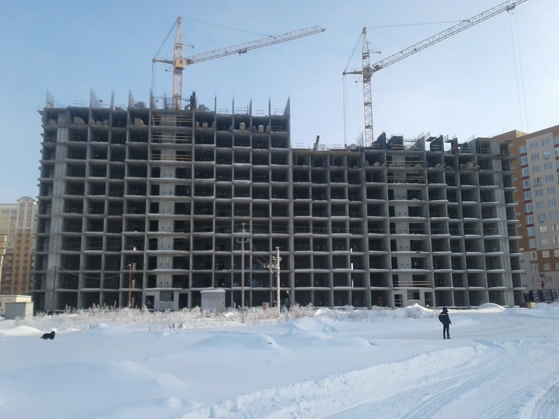январь, 2019