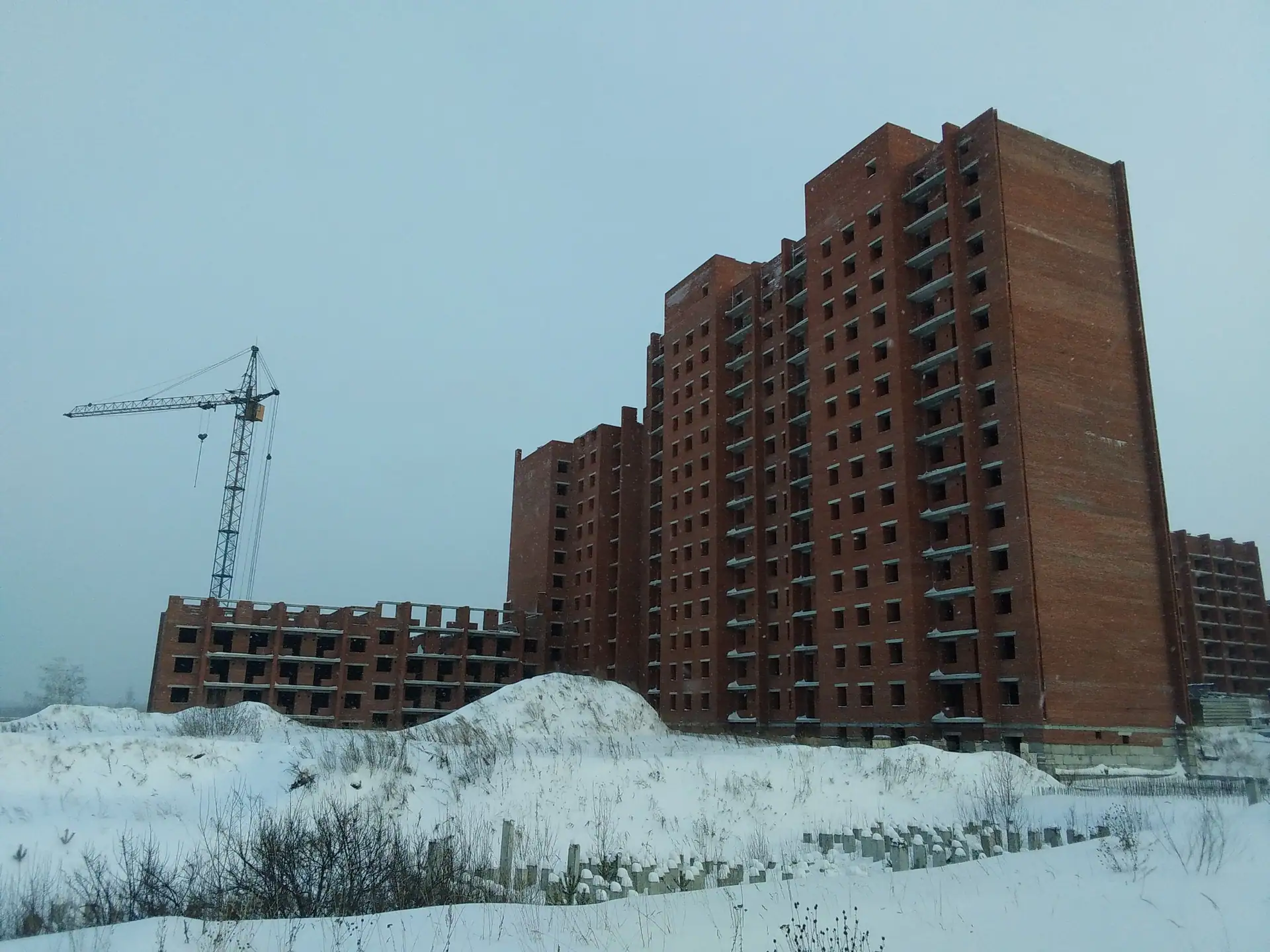 январь, 2025