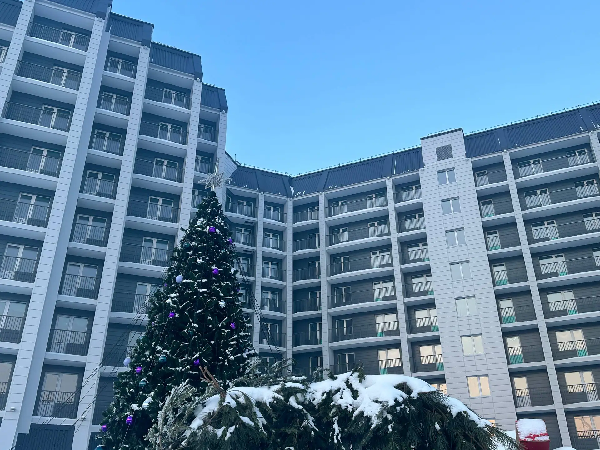 январь, 2026