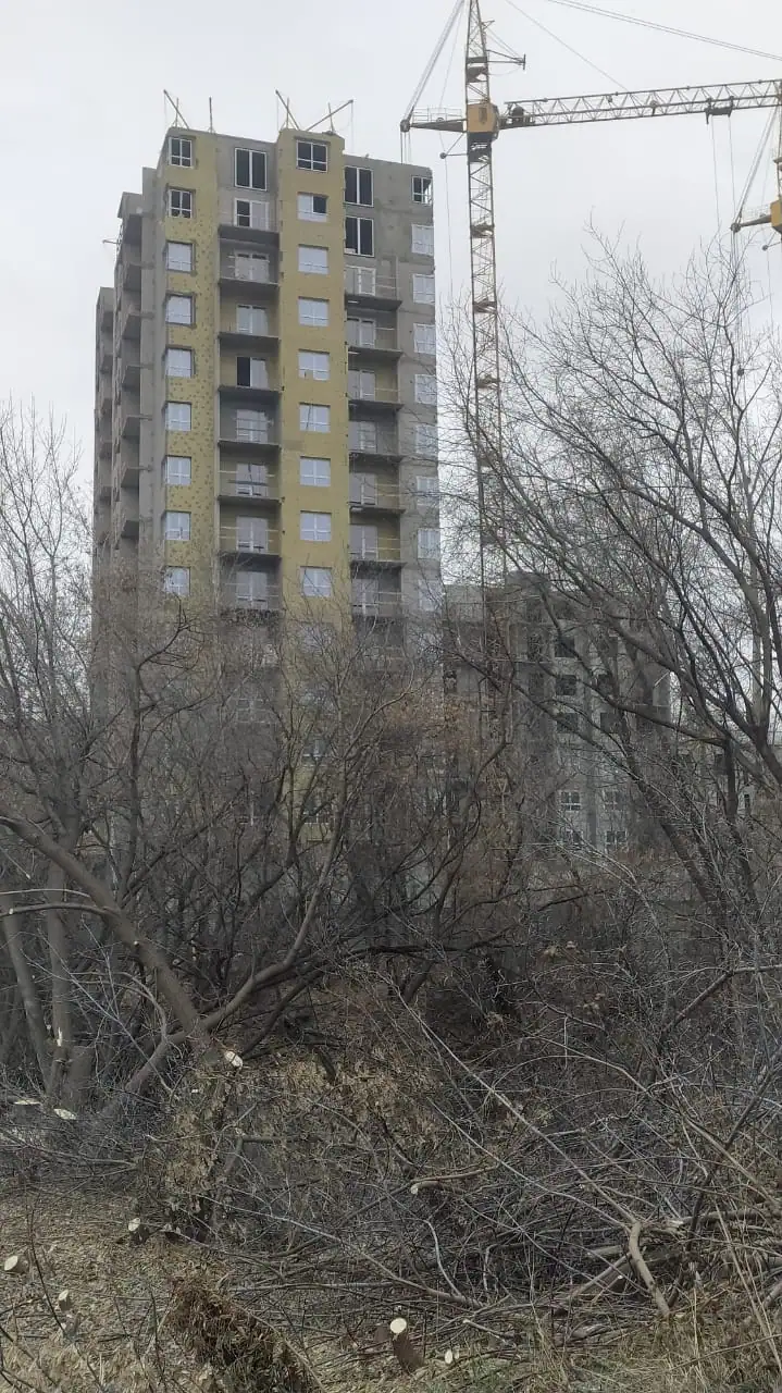 ноябрь, 2023