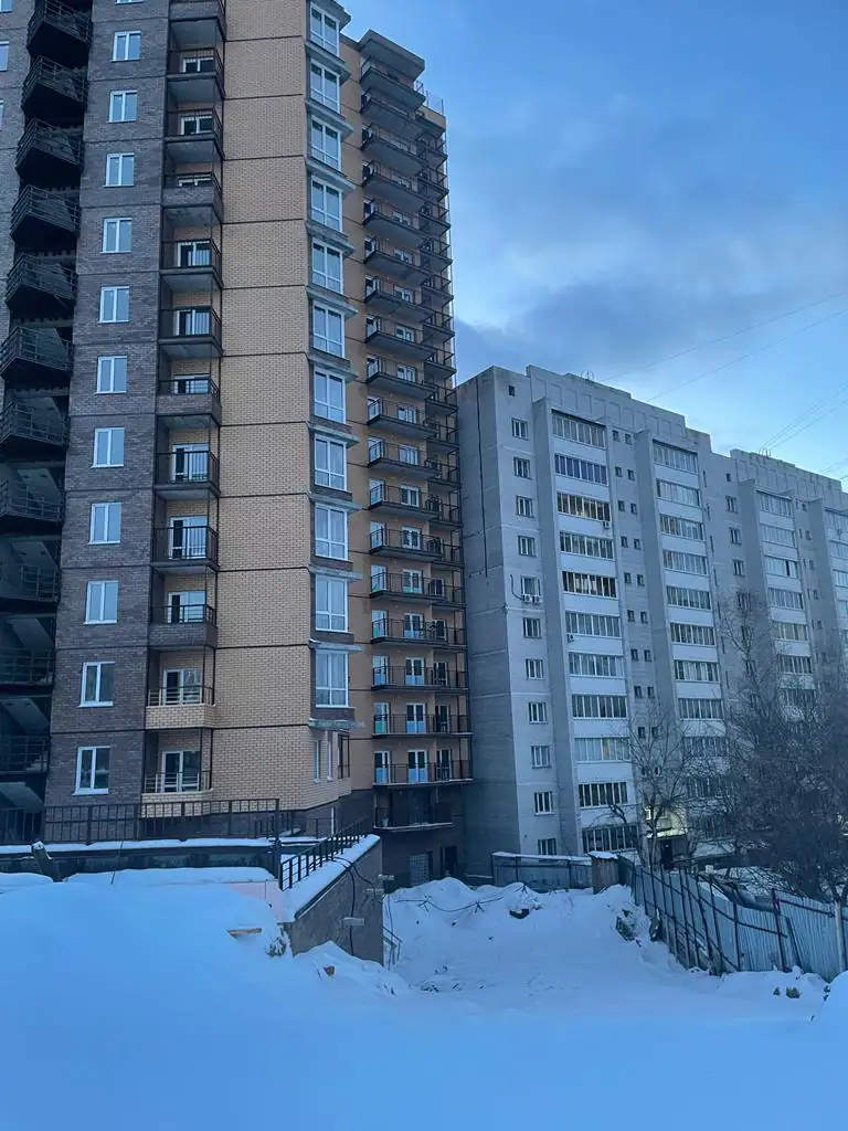 январь, 2024