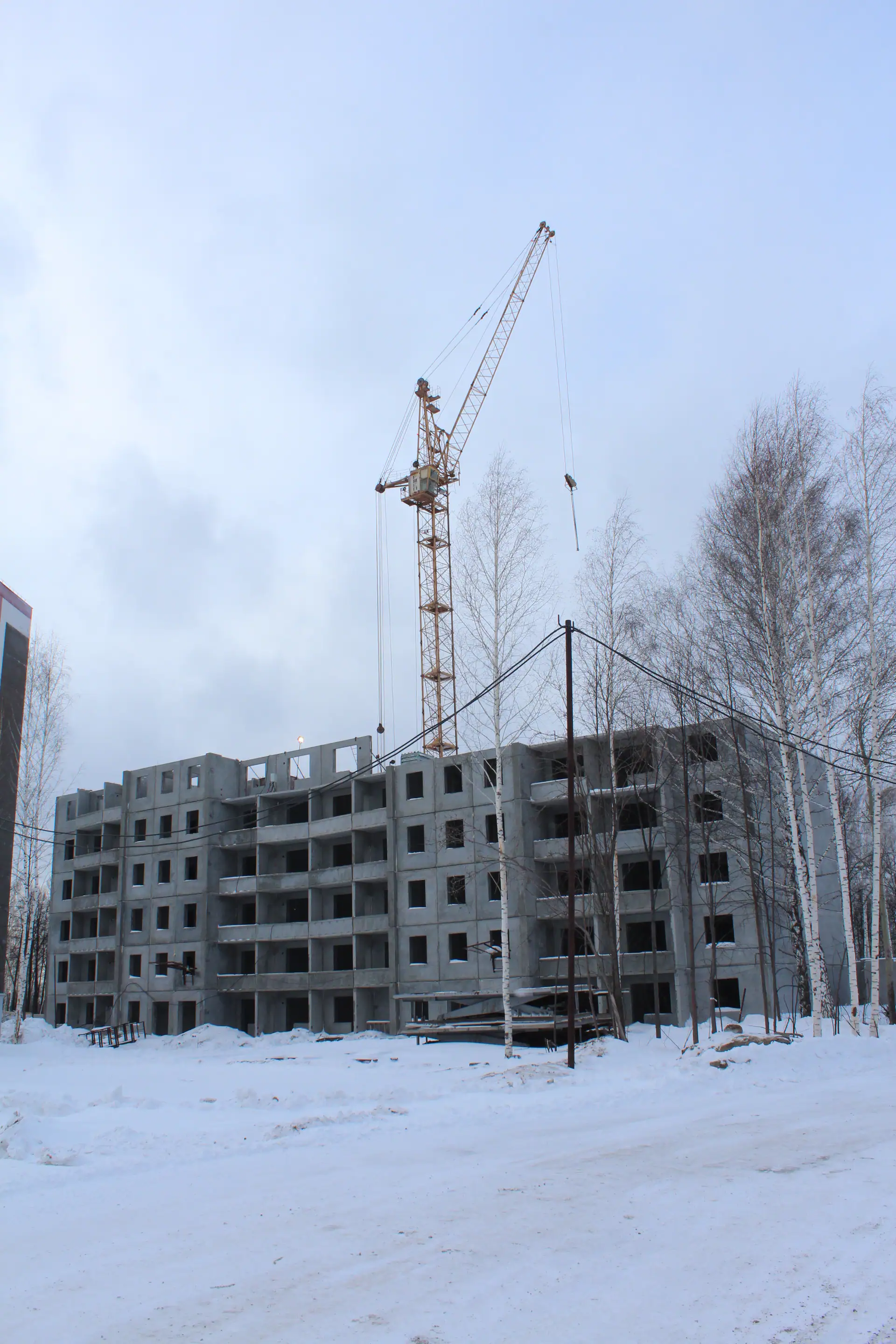 январь, 2024