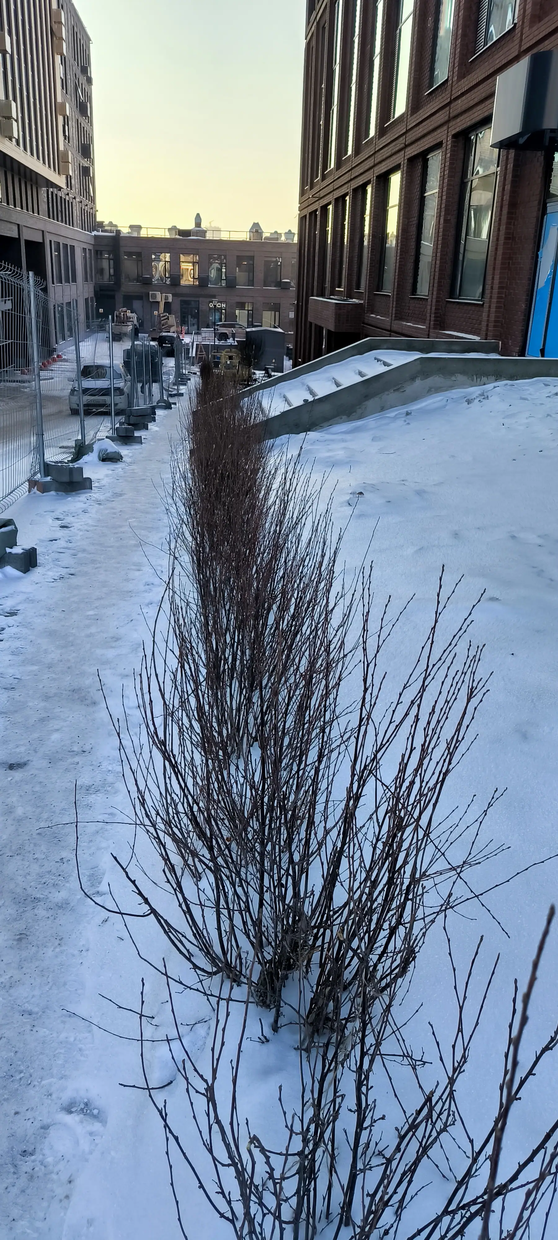 12 2024 г.