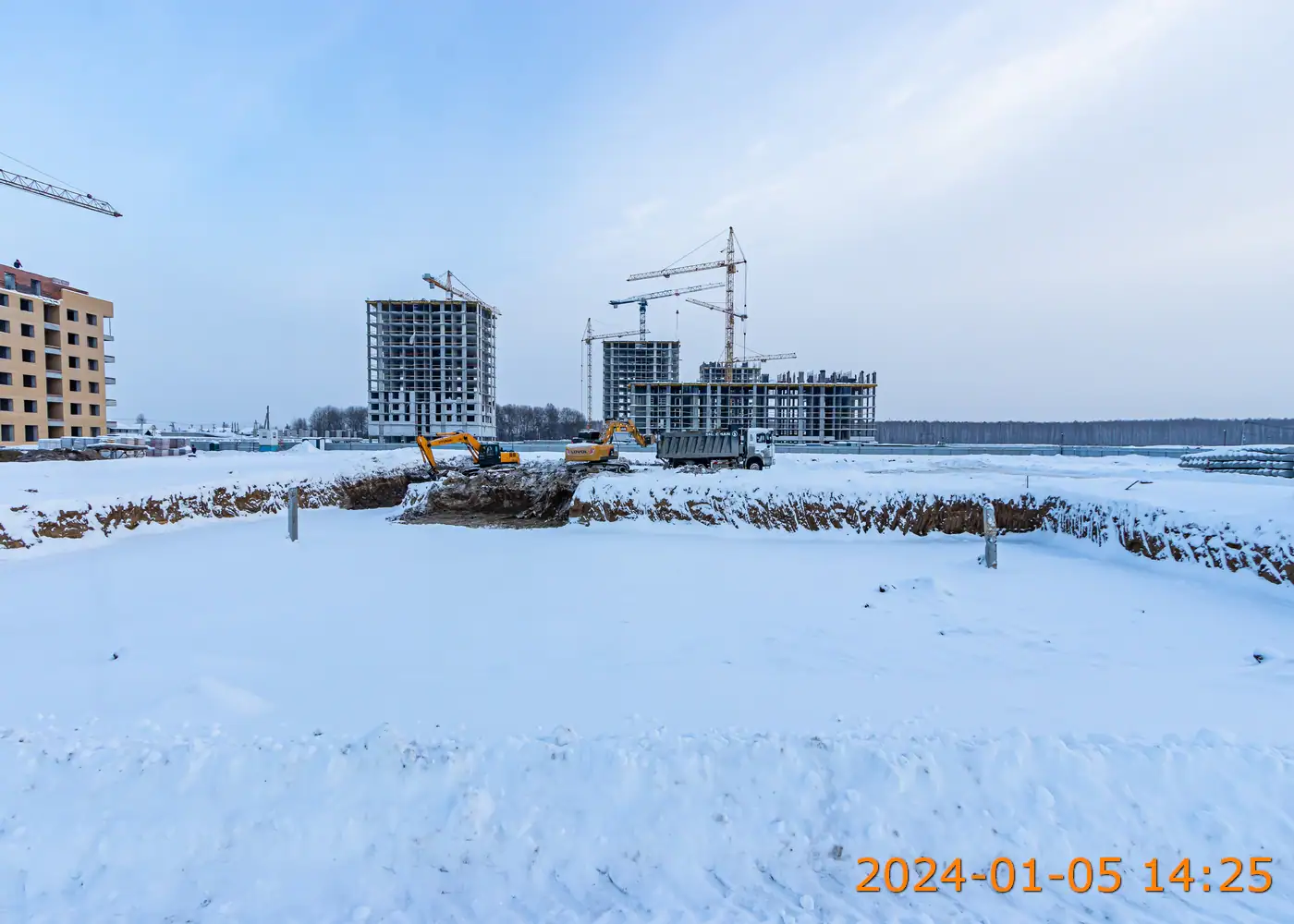 январь, 2024