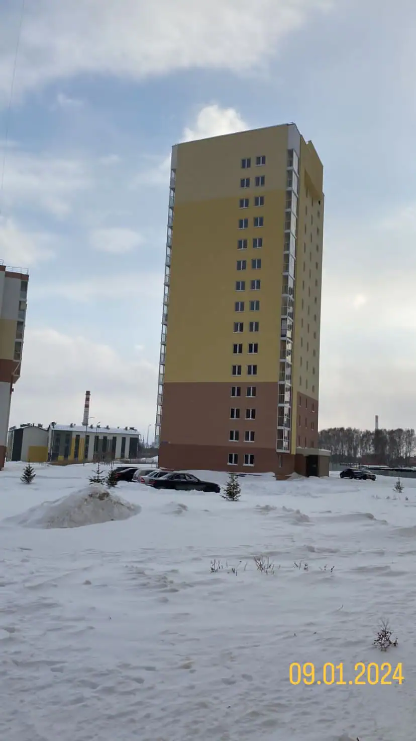 январь, 2024