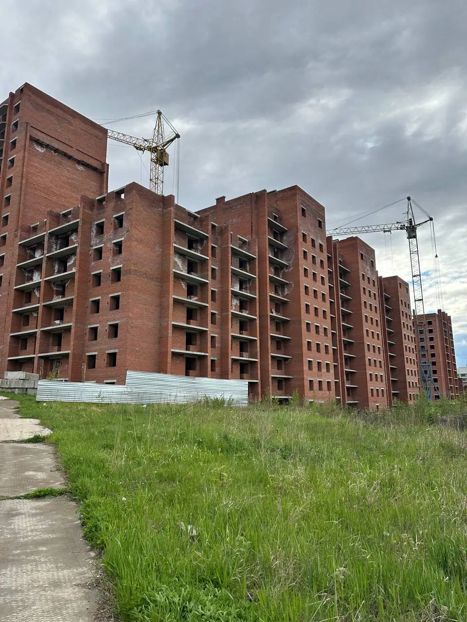 август, 2024