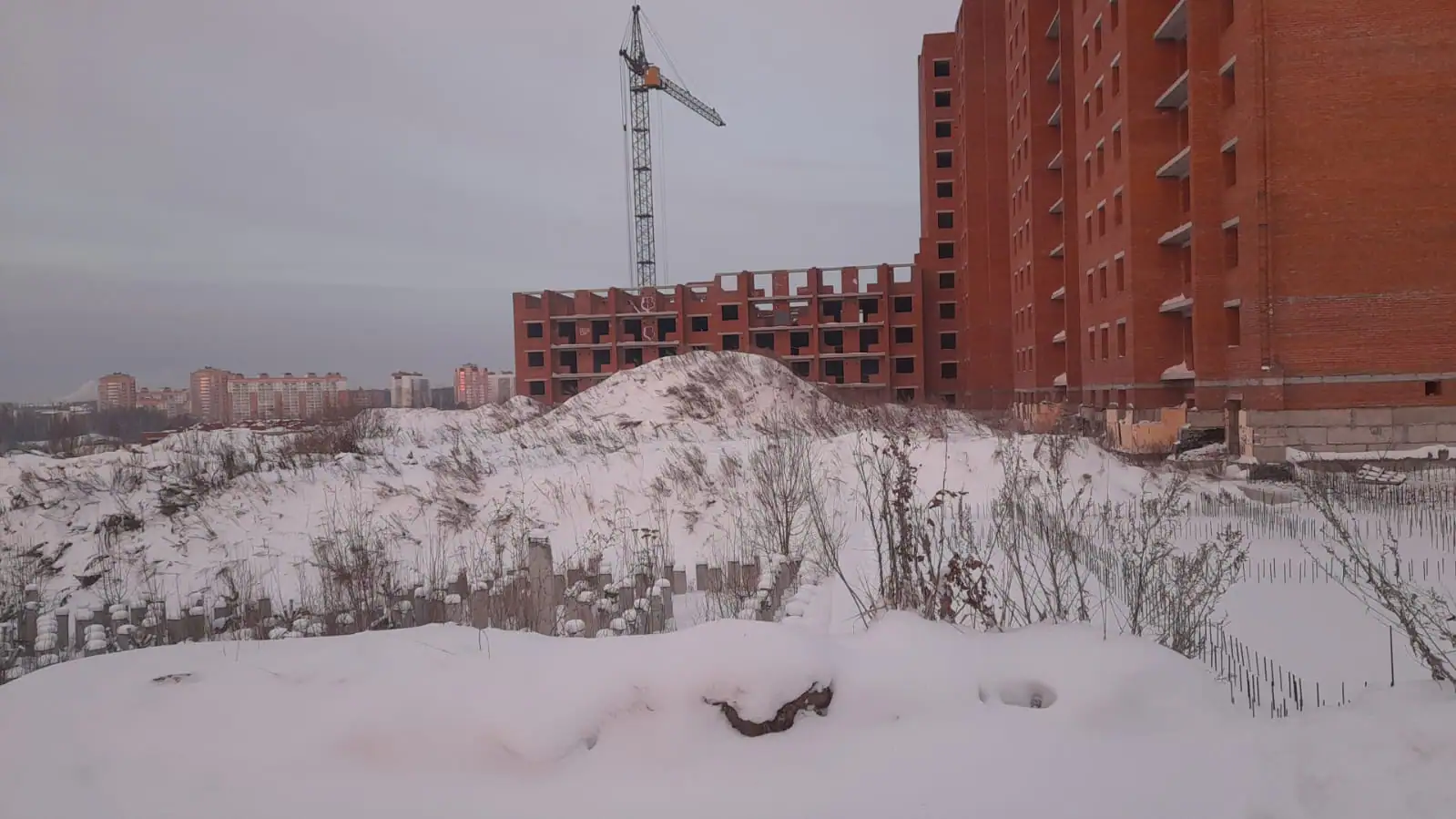 январь, 2025