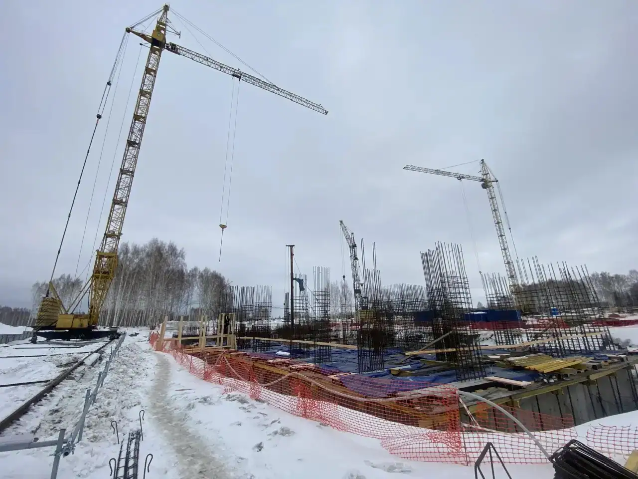 03 2026 г.