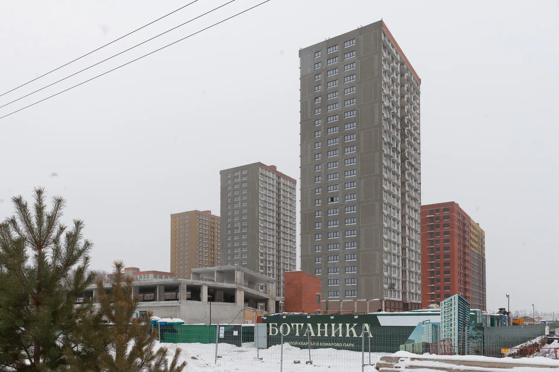 февраль, 2025