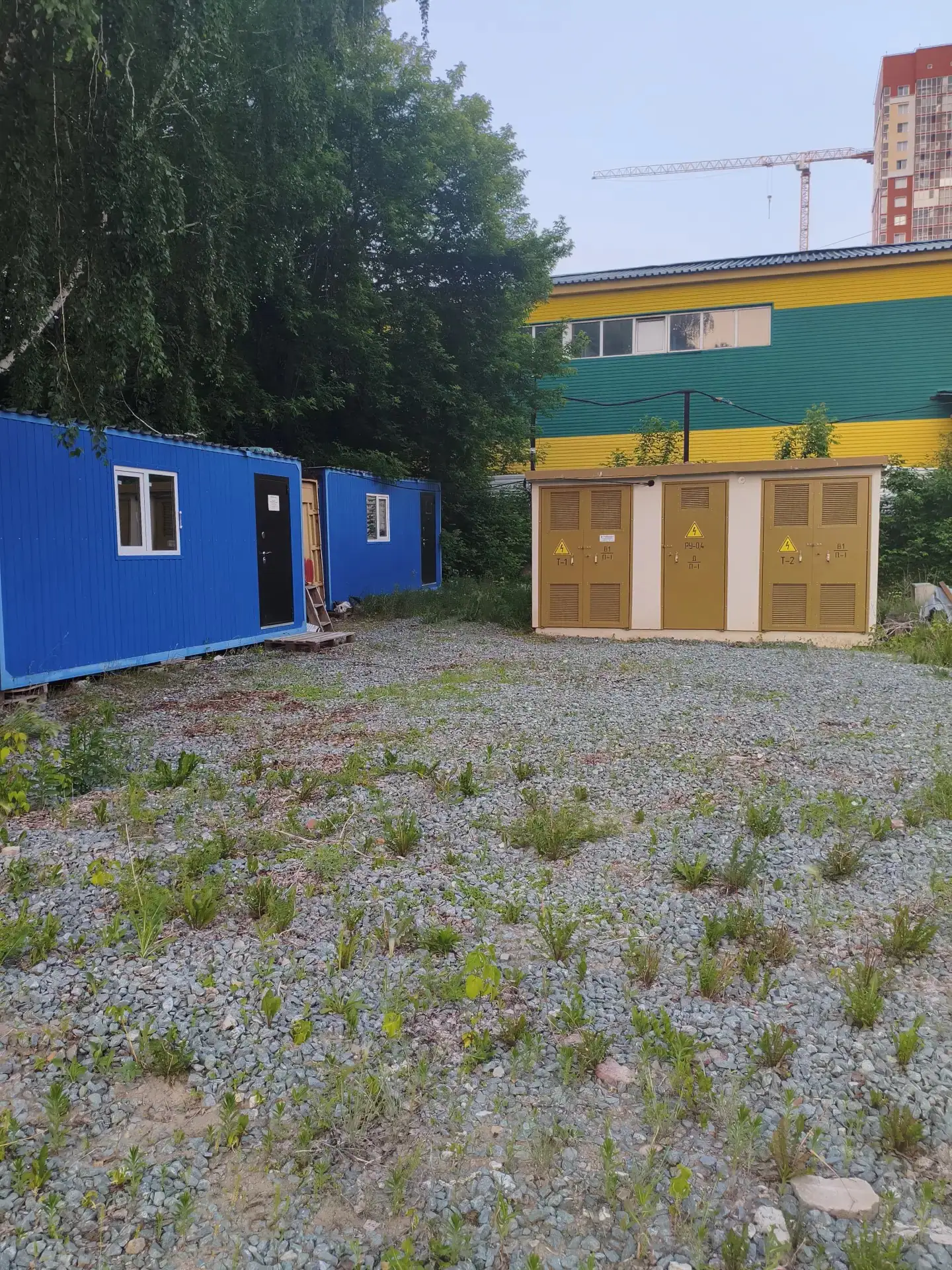 06 2026 г.