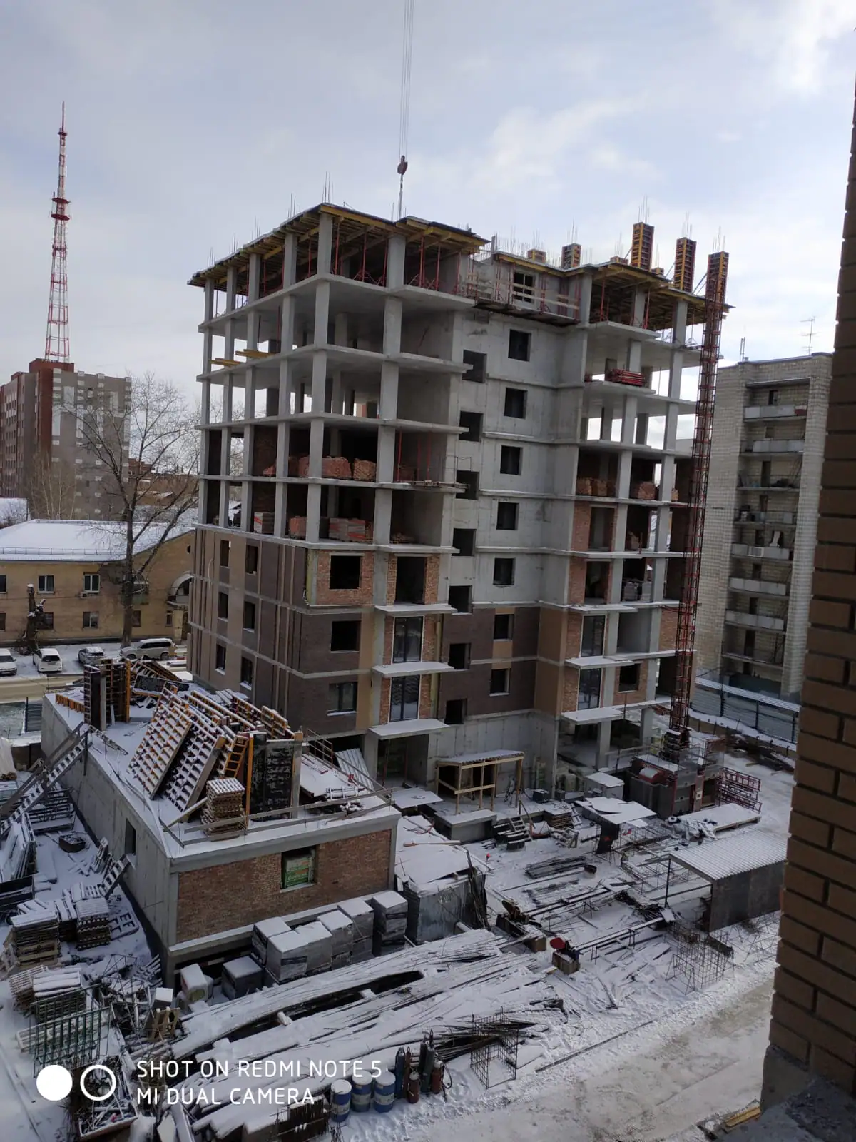 11 2024 г.