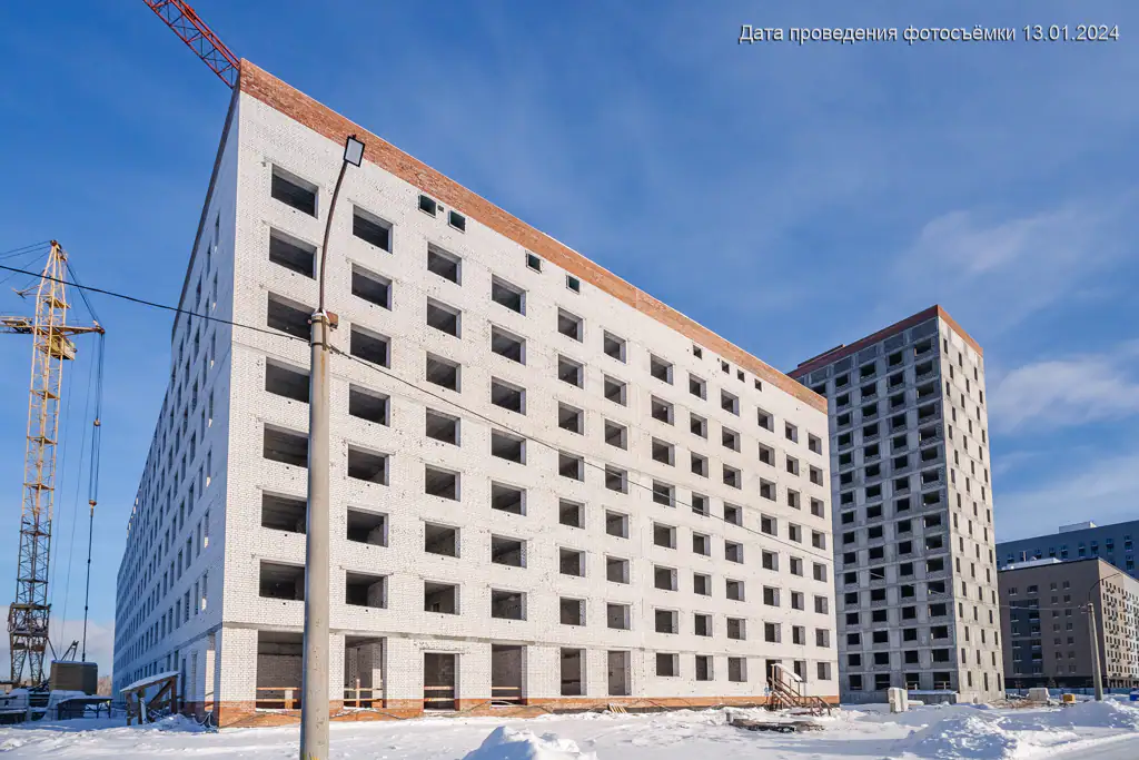 январь, 2024