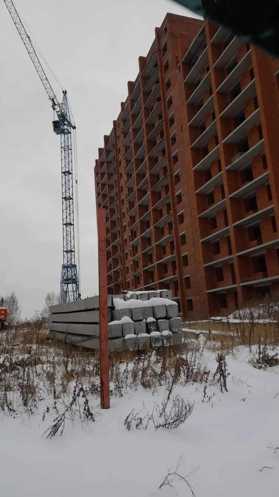 ноябрь, 2025