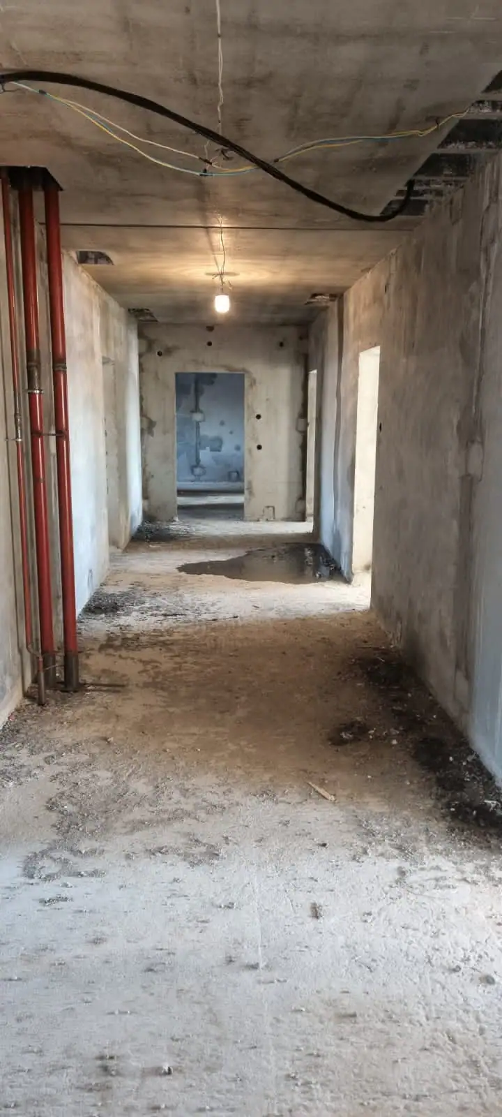 03 2023 г.