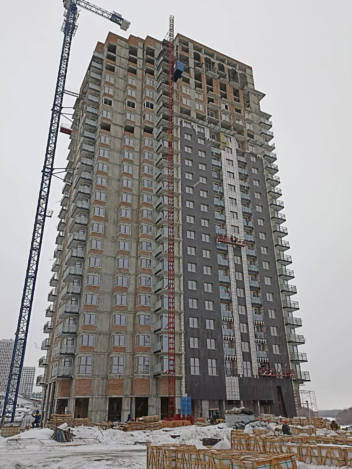 03 2023 г.