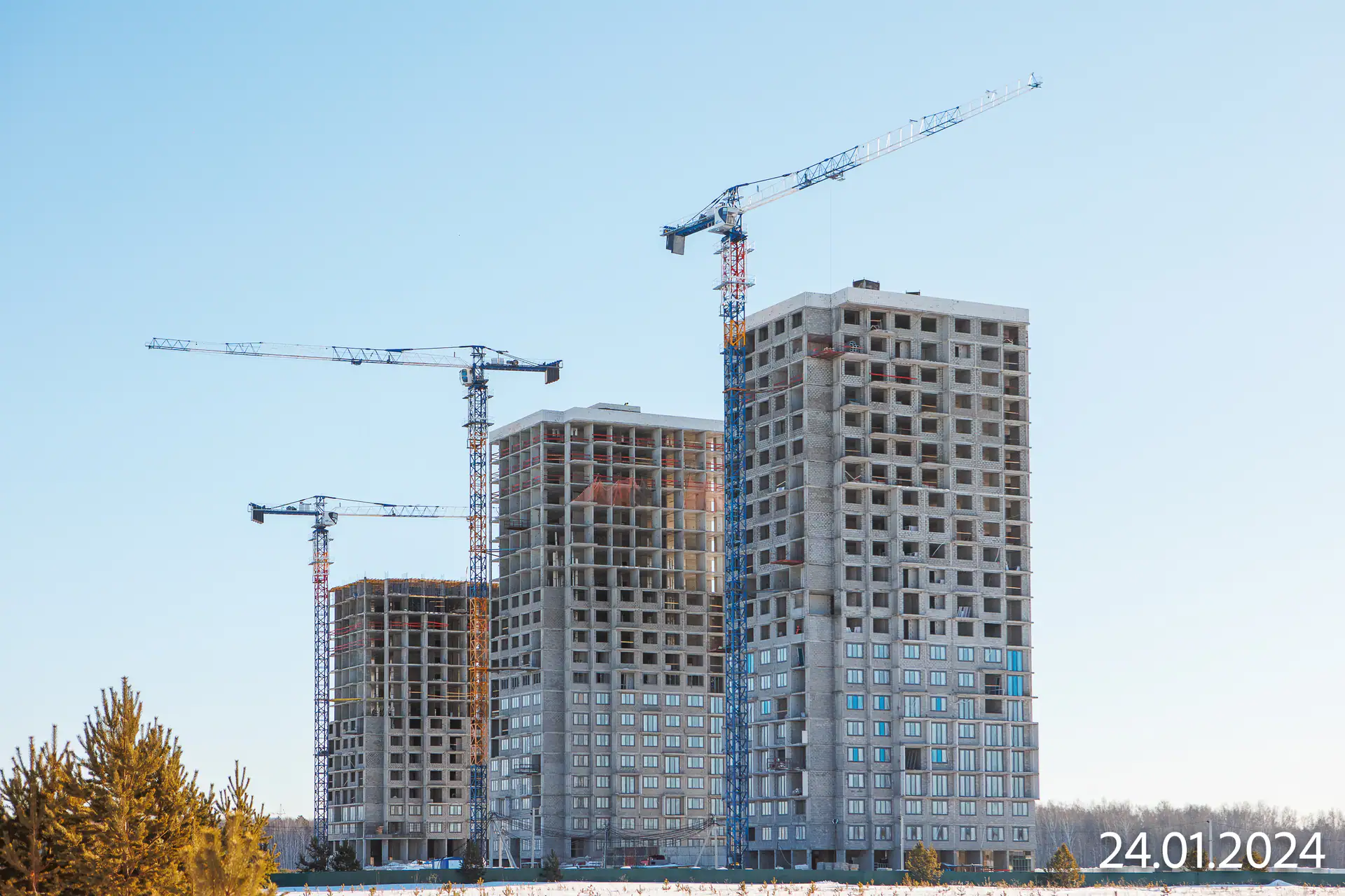 январь, 2024