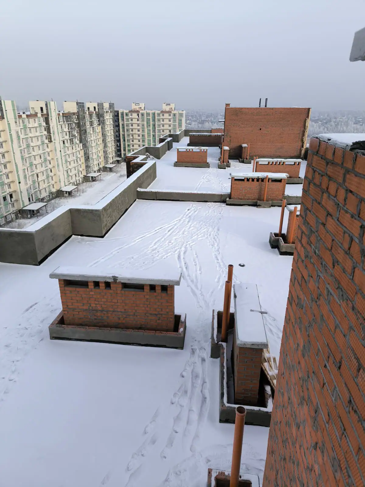 03 2025 г.