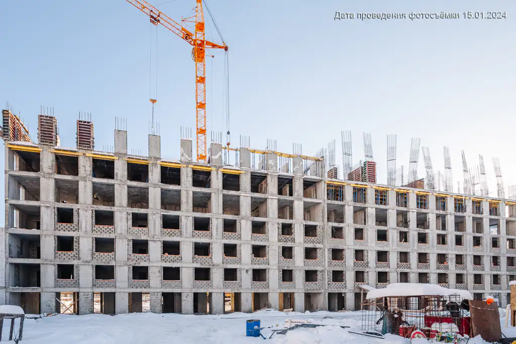 январь, 2024