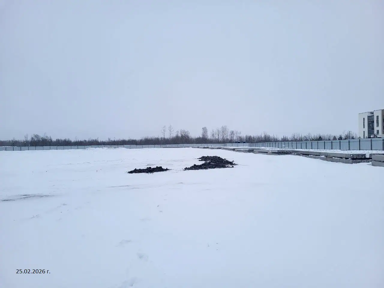 февраль, 2026
