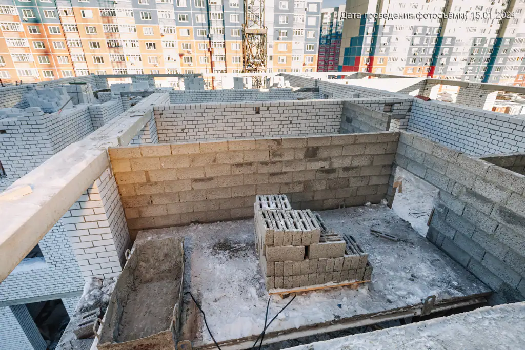 январь, 2024