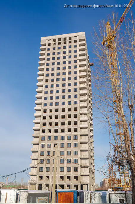 январь, 2024