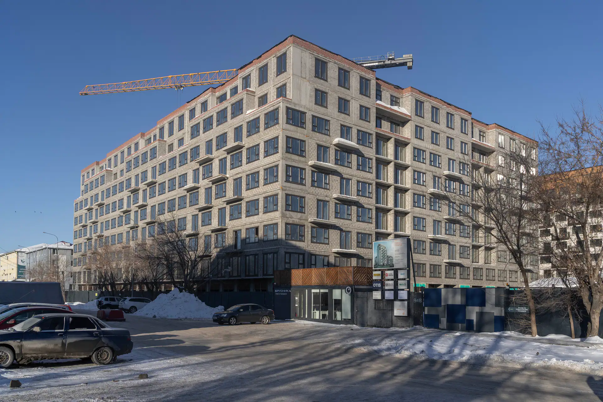 январь, 2024