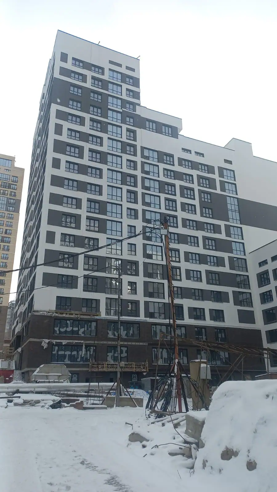 11 2024 г.