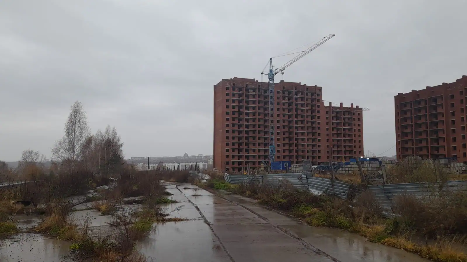 октябрь, 2024