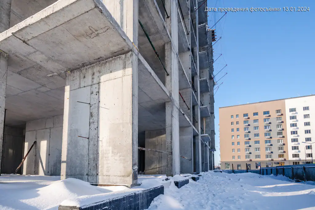 январь, 2024